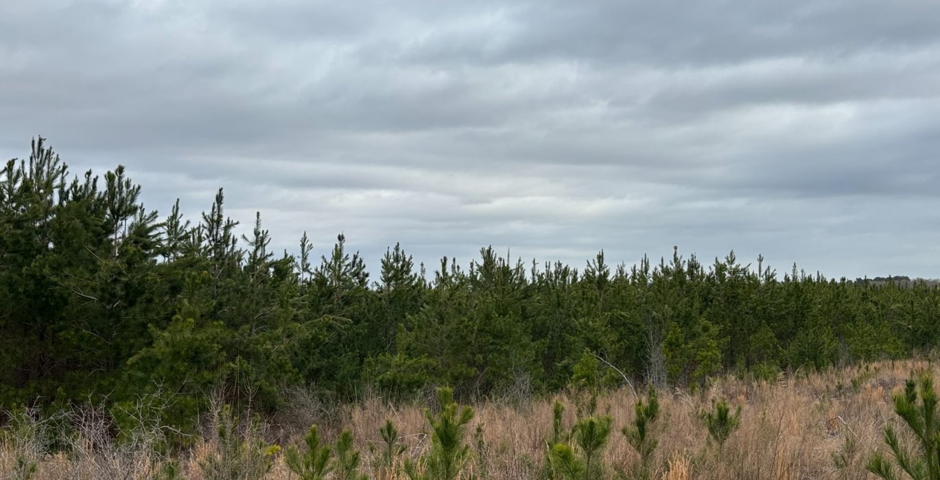 46 IMG 6388