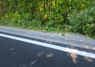 471 20260829 155915
