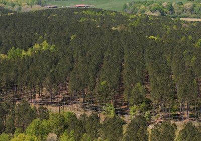 471 AFM Blue Q Ranch Photo 16