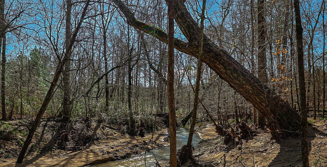 471 AFM Island Creek Farms 24