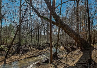 471 AFM Island Creek Farms 24