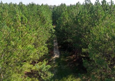 472 AFM Herndon Dairy Tract Photo 16