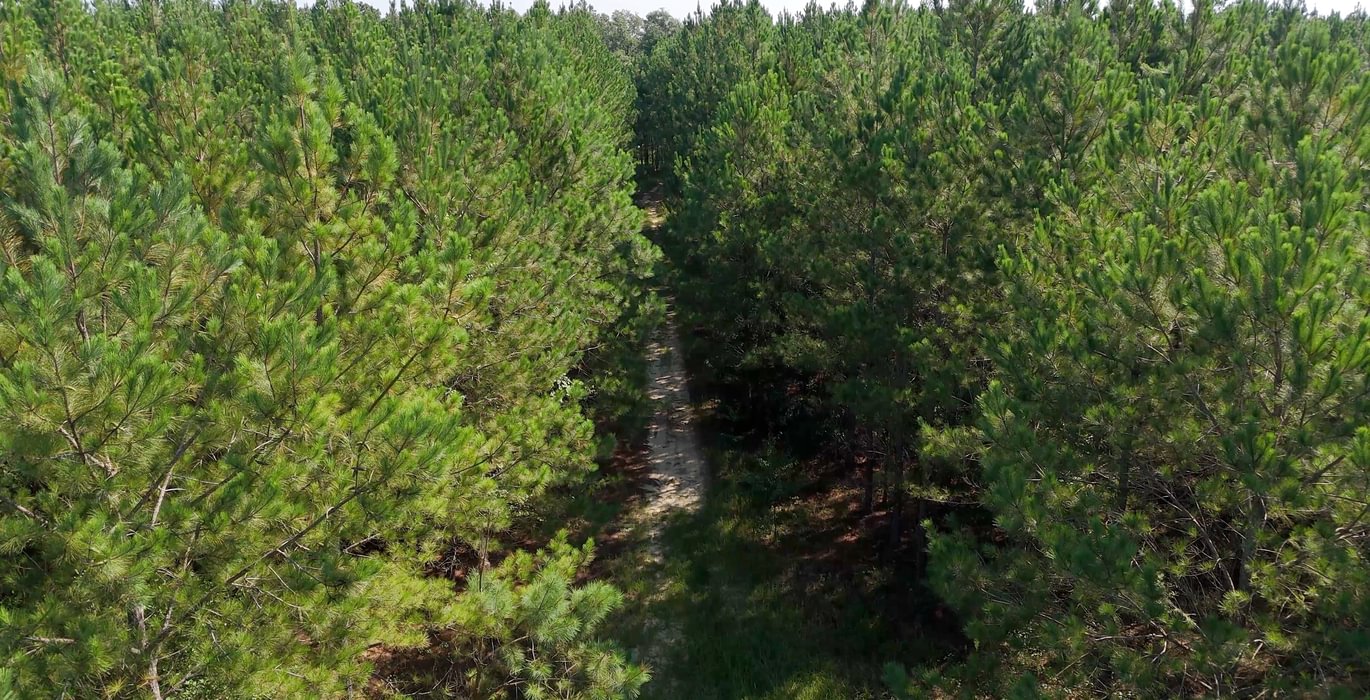 472 AFM Herndon Dairy Tract Photo 16
