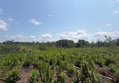 472 IMG 0106