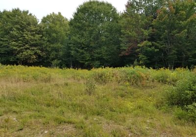 472 Opening at end of Beaver Lane