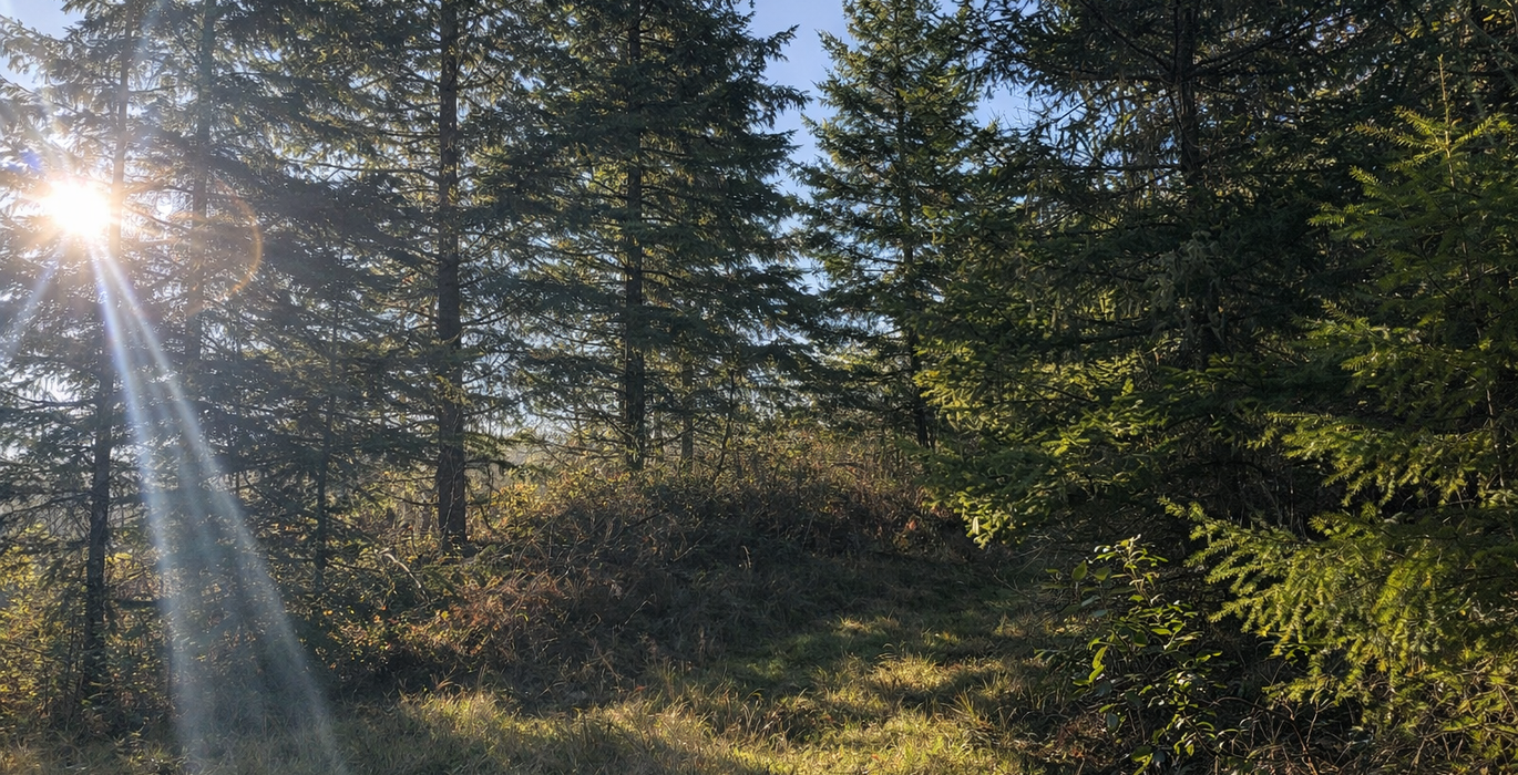 474 Chat GPT Image Jan 13 2026 at 05 34 18 PM