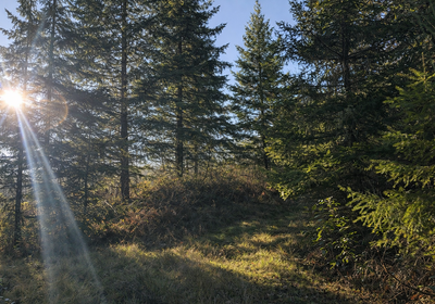 474 Chat GPT Image Jan 13 2026 at 05 34 18 PM