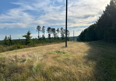 474 IMG 1164