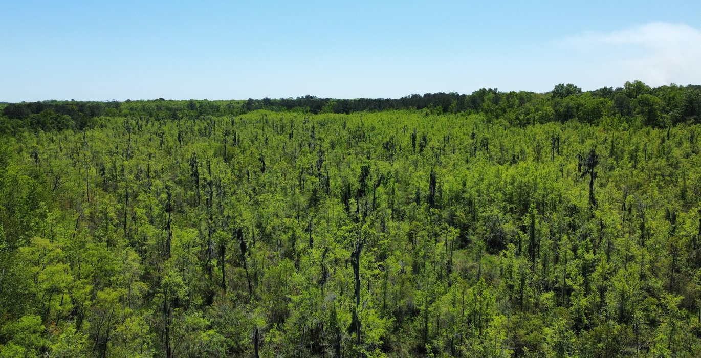 474 dji fly 20250416 123802 95 1744821489332 photo optimized Copy 2