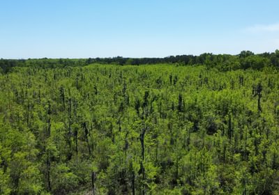 474 dji fly 20250416 123802 95 1744821489332 photo optimized Copy 2