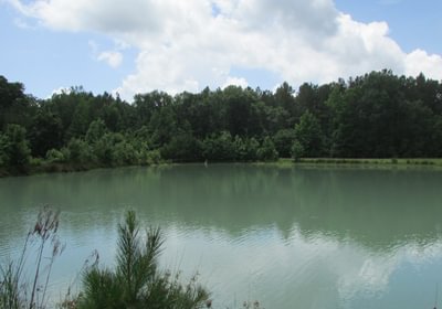 475 IMG 1074