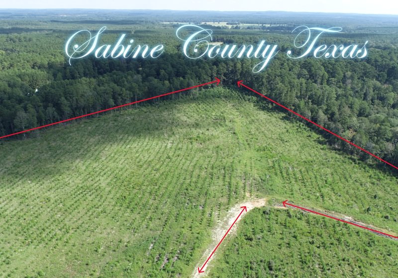 Photo 1 of Sturgis Mill T-17, 63 acres, Sabine County, Texas