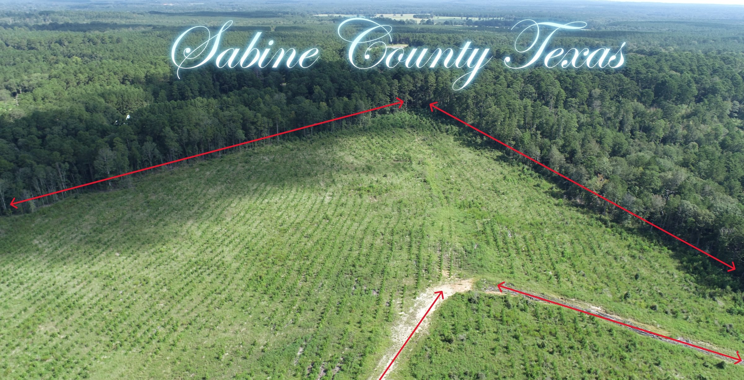 Photo 1 of Sturgis Mill T-17, 63 acres, Sabine County, Texas