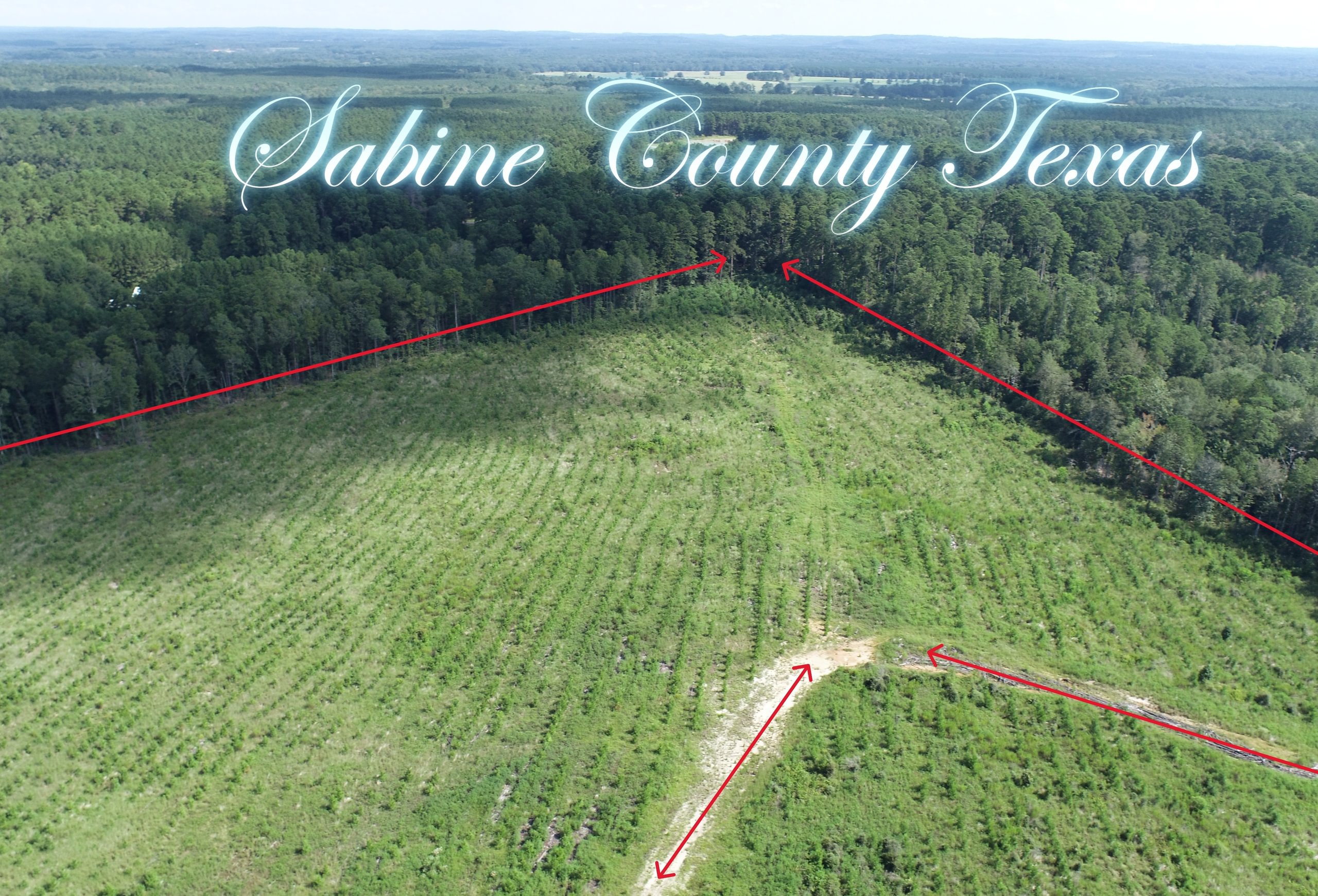 Photo 1 of Sturgis Mill T-17, 63 acres, Sabine County, Texas