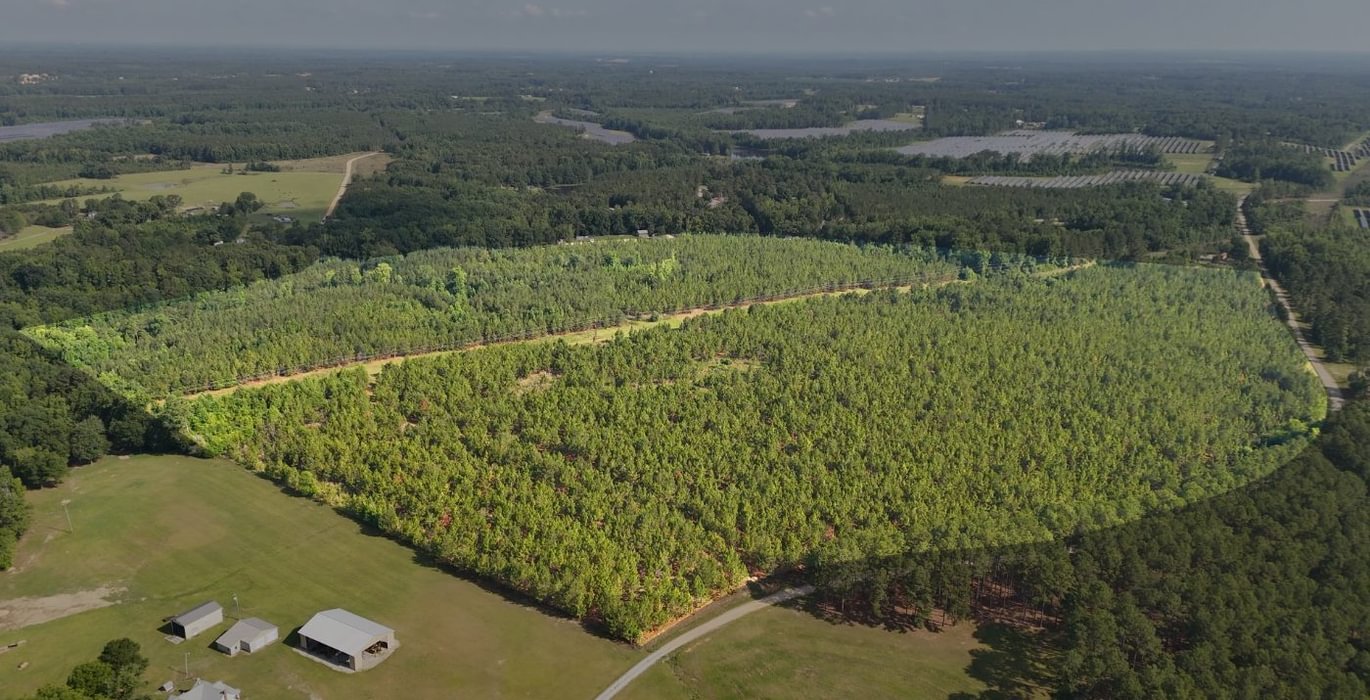 477 Longleaf Mecca Photo 1