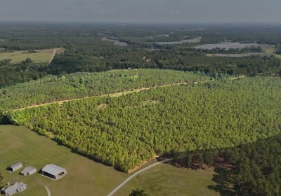 477 Longleaf Mecca Photo 1