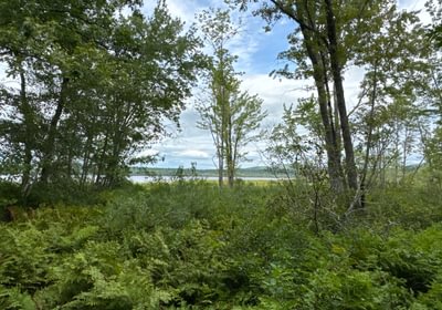 478 lakeview from Meadow