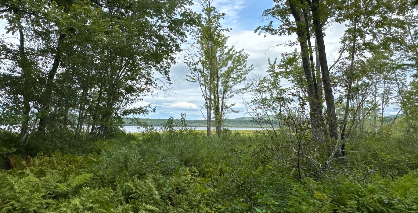 478 lakeview from Meadow