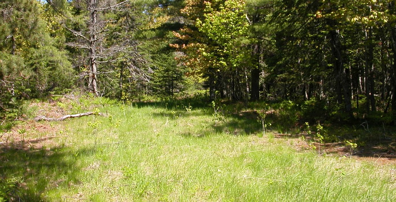 481 Eagle Harbor South 011