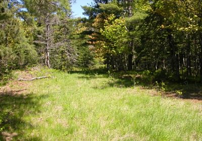 481 Eagle Harbor South 011