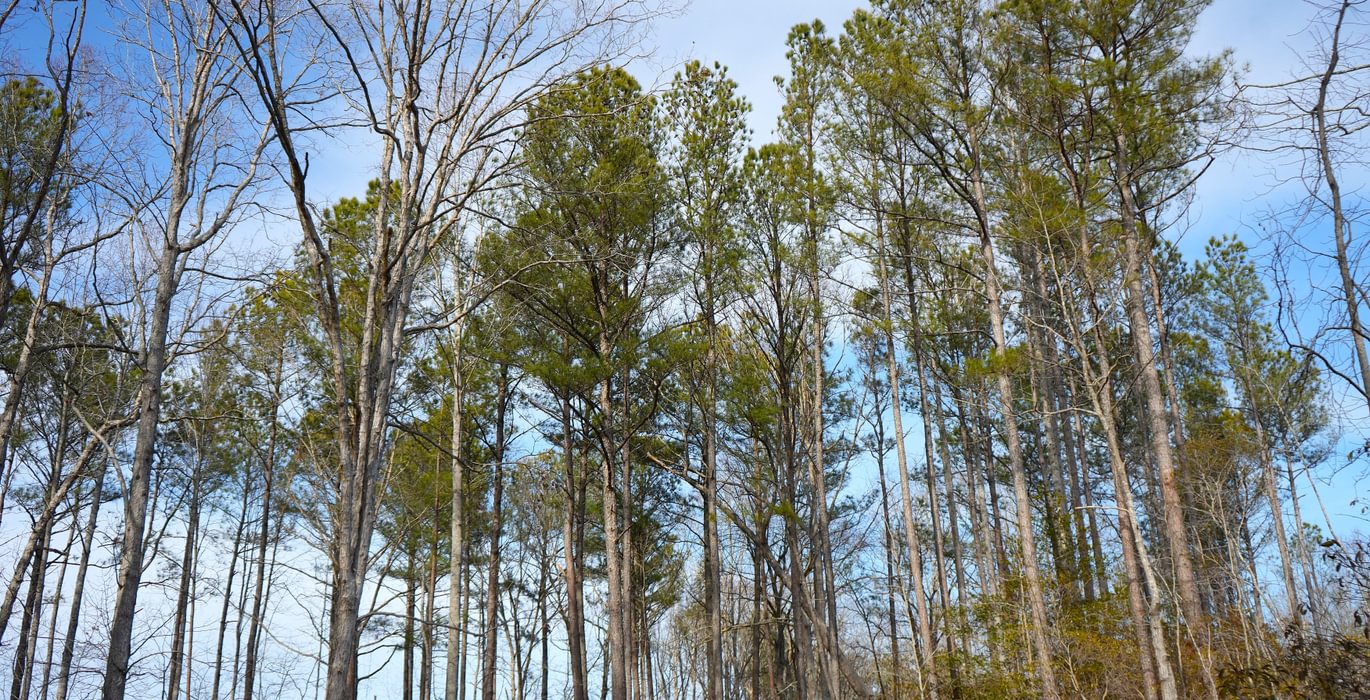 482 Church Hill pic10