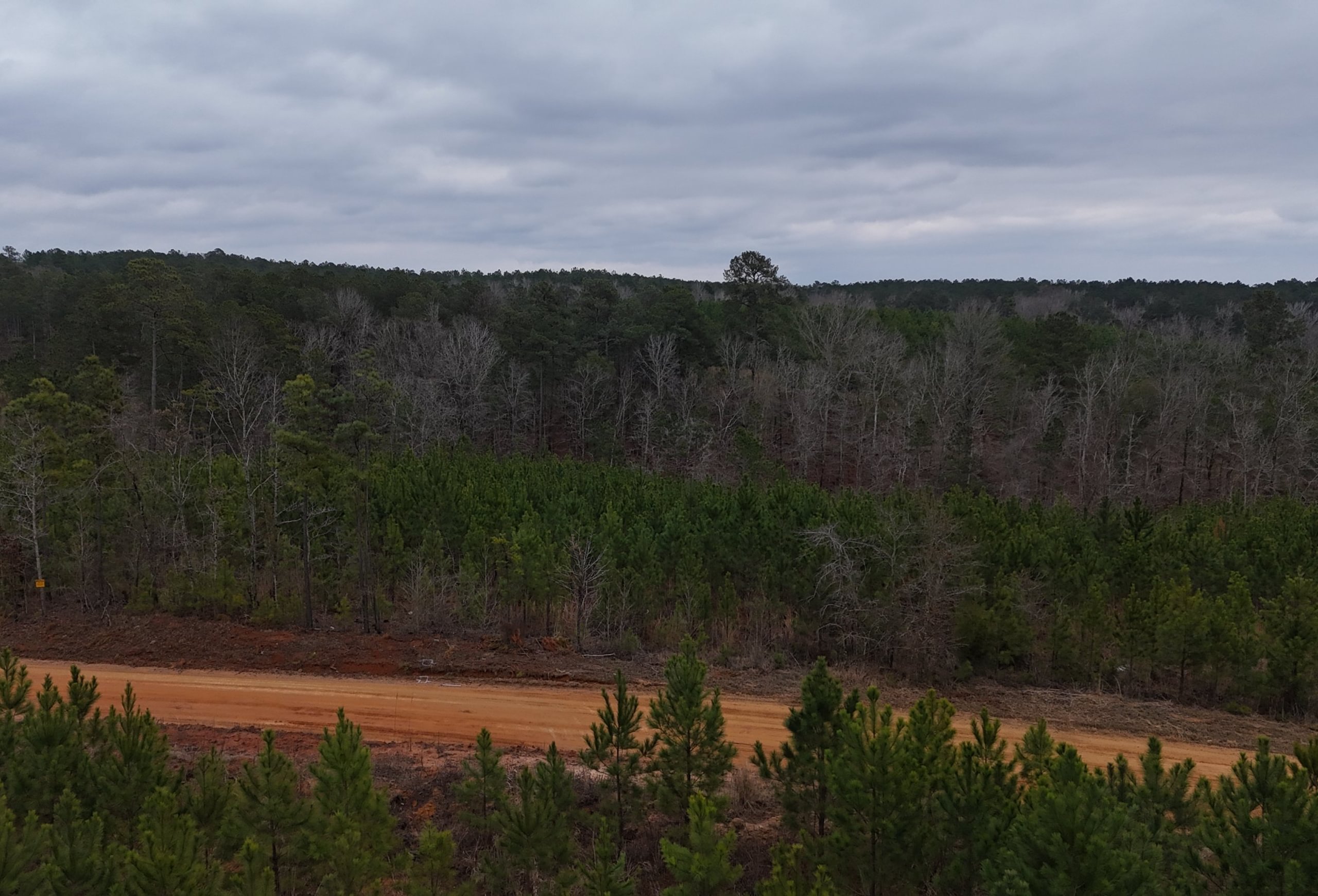 Photo 13 of Chickasaw Pines at Lake Sinclair, 131 acres, Hancock County, Georgia