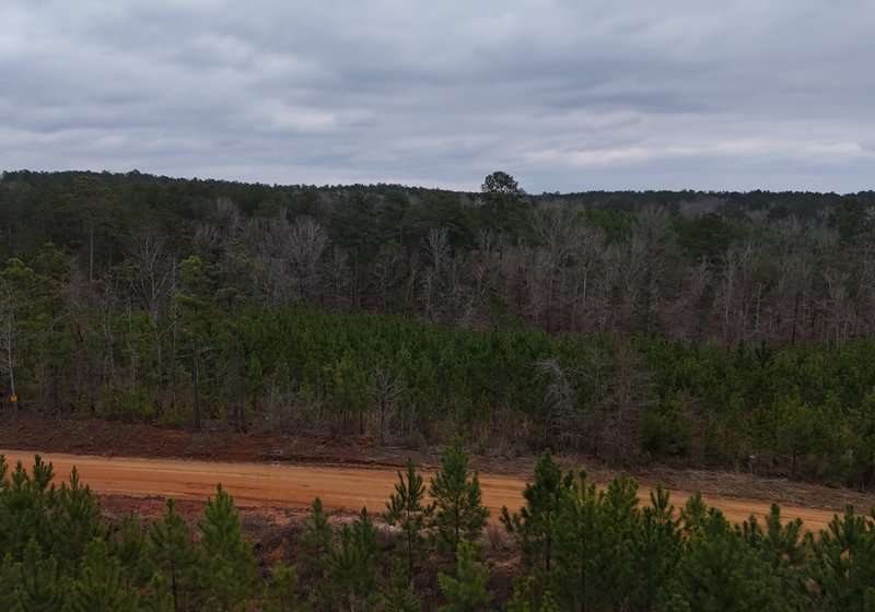 Photo 13 of Chickasaw Pines at Lake Sinclair, 131 acres, Hancock County, Georgia