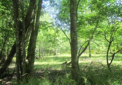 482 IMG 0675