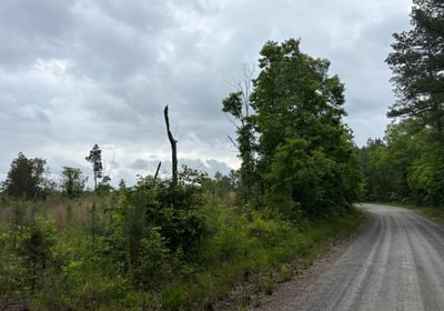 482 IMG 1433