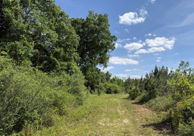 482 IMG 1572