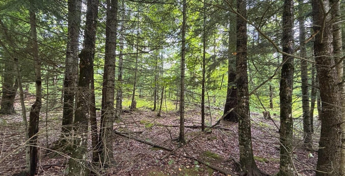 482 beartown 18