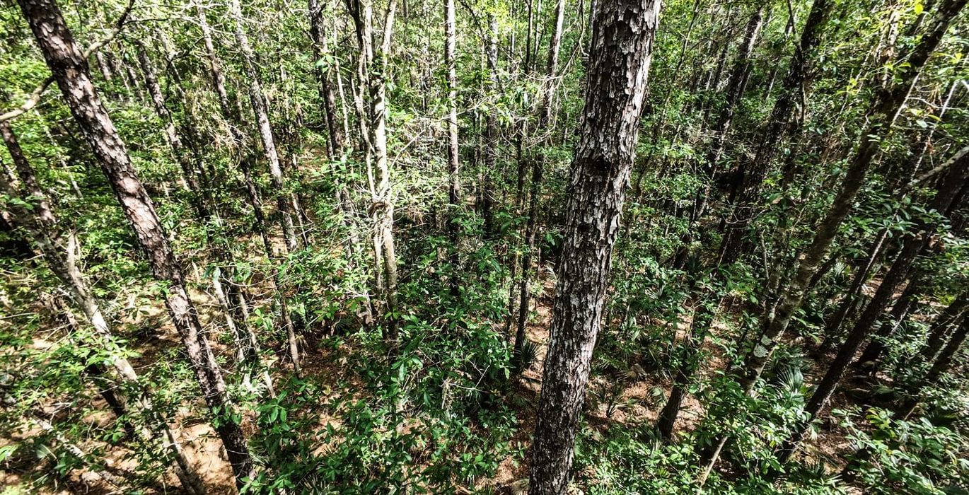 484 DJI 20250516231225 0070 D