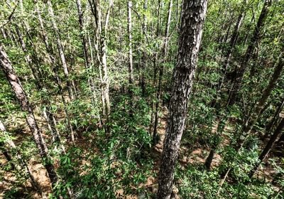 484 DJI 20250516231225 0070 D