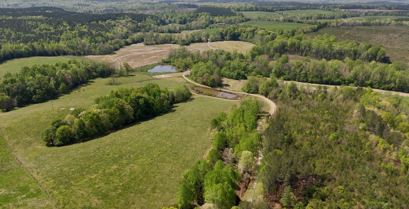 485 AFM Blue Q Ranch Photo 5