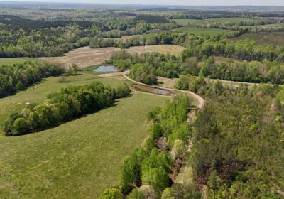 485 AFM Blue Q Ranch Photo 5
