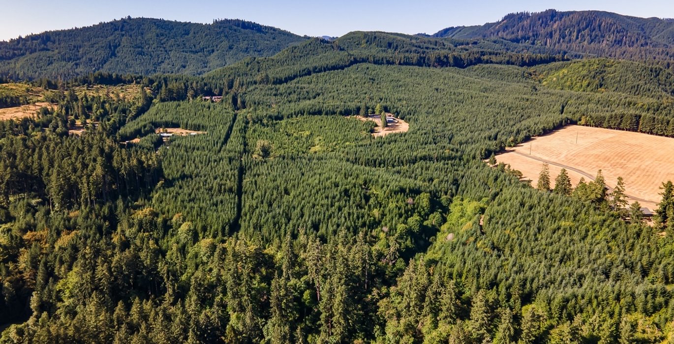 487 DJI 0978 HDR25