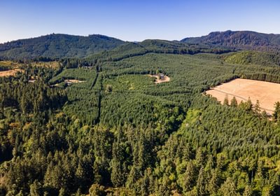 487 DJI 0978 HDR25