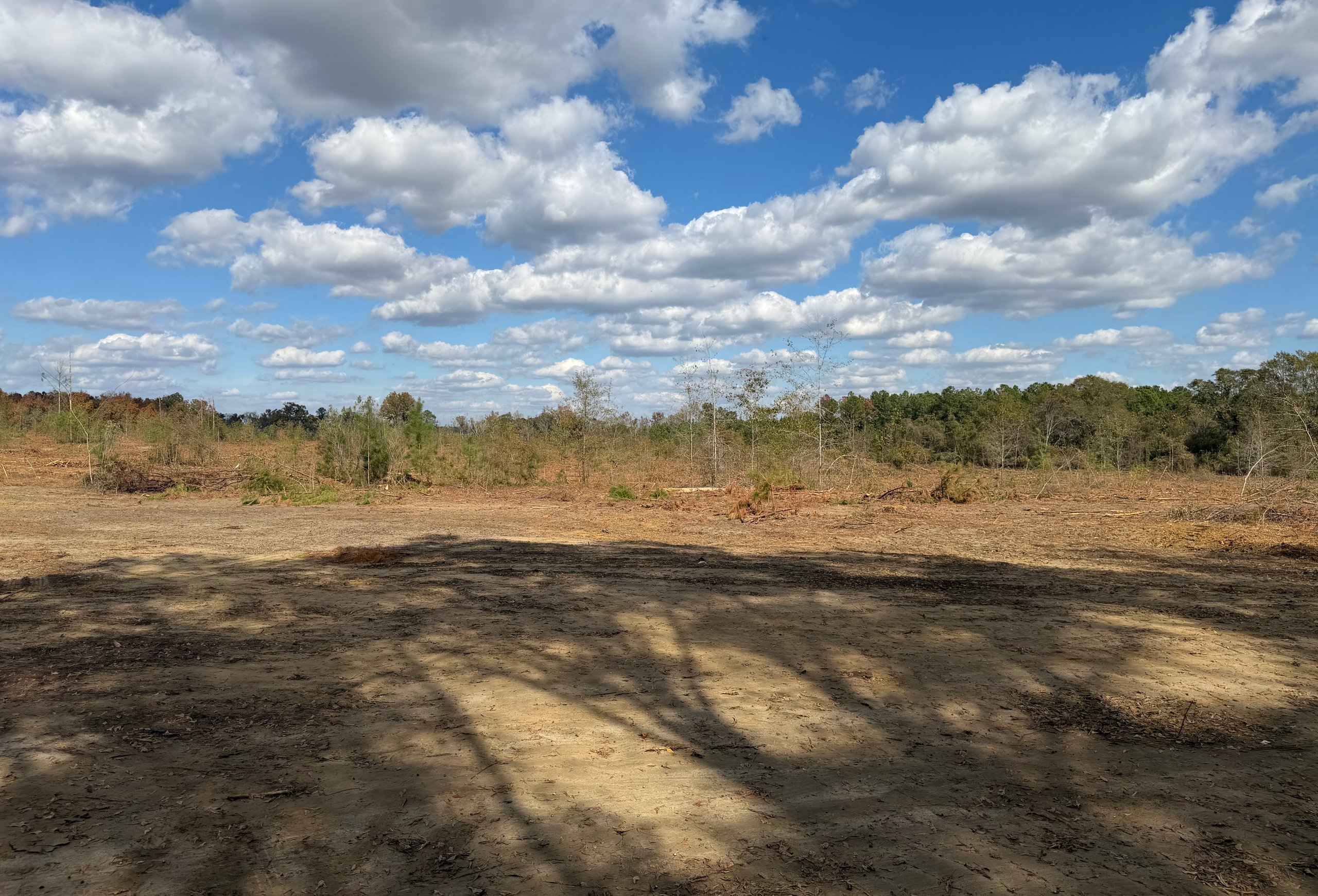 Photo 10 of Dooly County - Edwards Rd Farms, 101 acres, Dooly County, Georgia