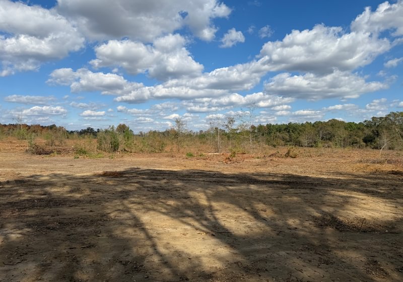 Photo 10 of Dooly County - Edwards Rd Farms, 101 acres, Dooly County, Georgia