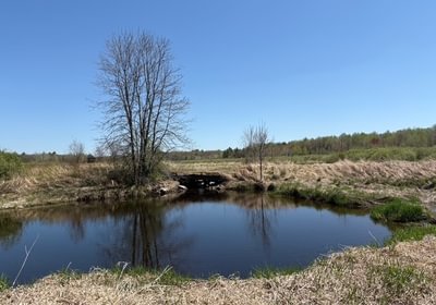 487 IMG 7997