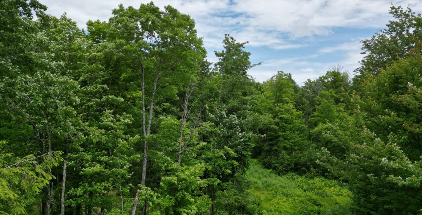 487 perchlake 26