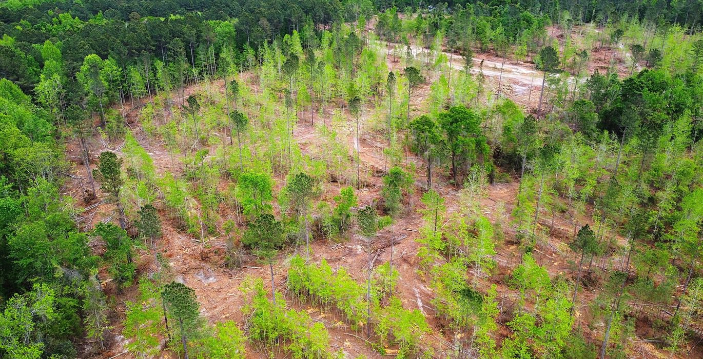 488 dji fly 20260407 145614 219 1775588236652 photo optimized