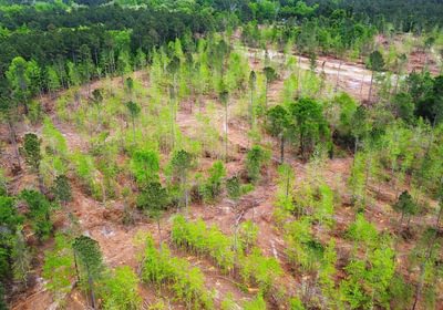 488 dji fly 20260407 145614 219 1775588236652 photo optimized