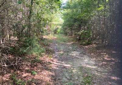 489 gum springs 24