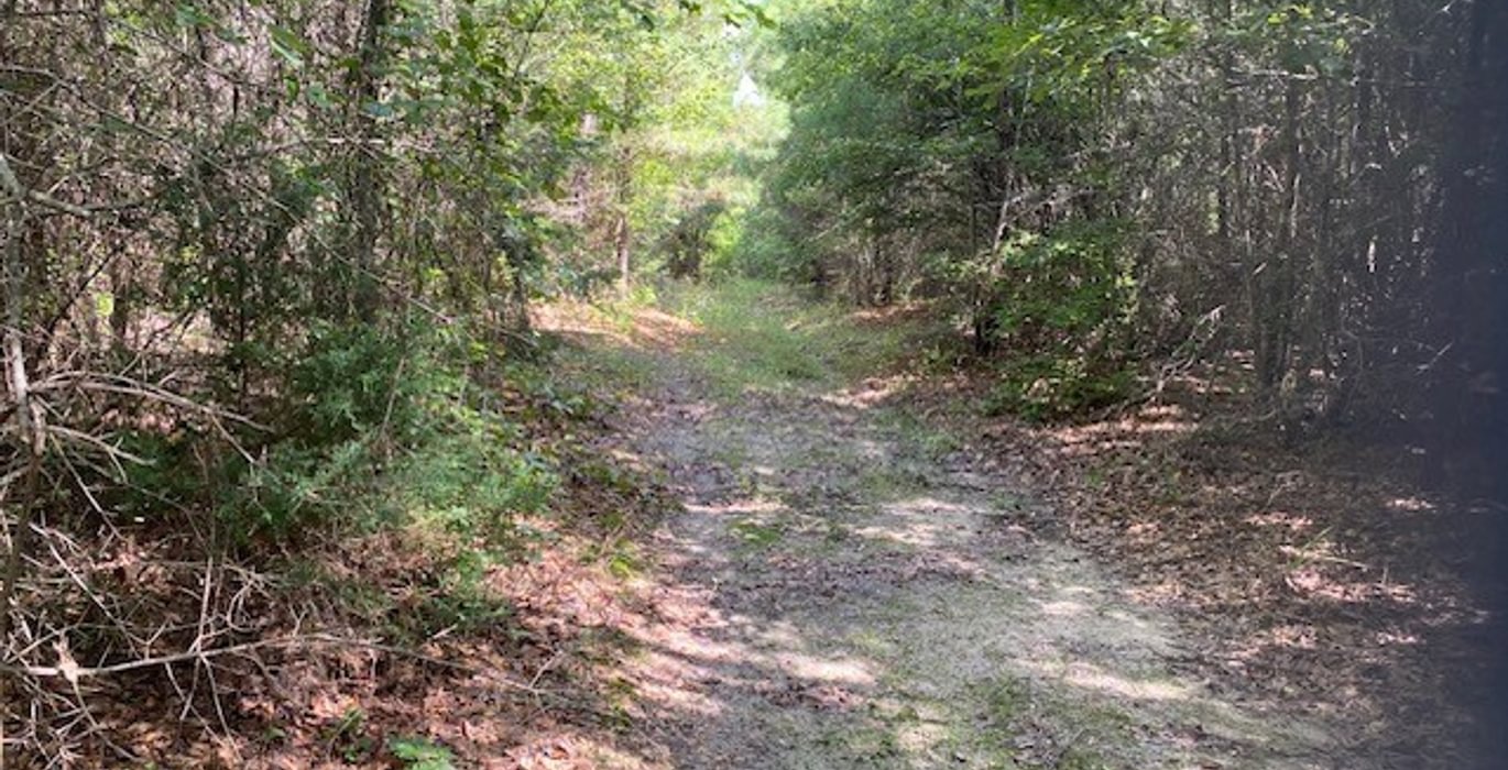 489 gum springs 24