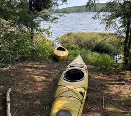 48 IMG 1936