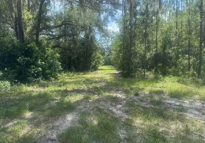 490 IMG 1877