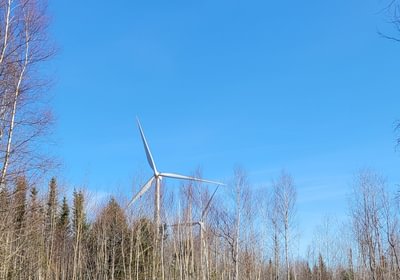 491 windmill