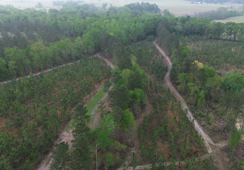 Photo 4 of Old Poor Robin Sportsman Tract 2, 24.6 acres, Screven County, Georgia