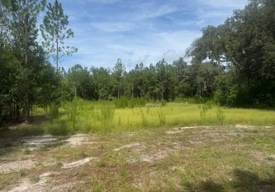 492 IMG 1876